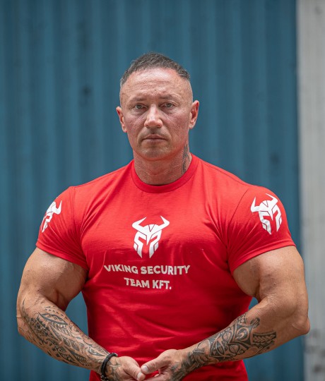 Viking Security Team Kft.
